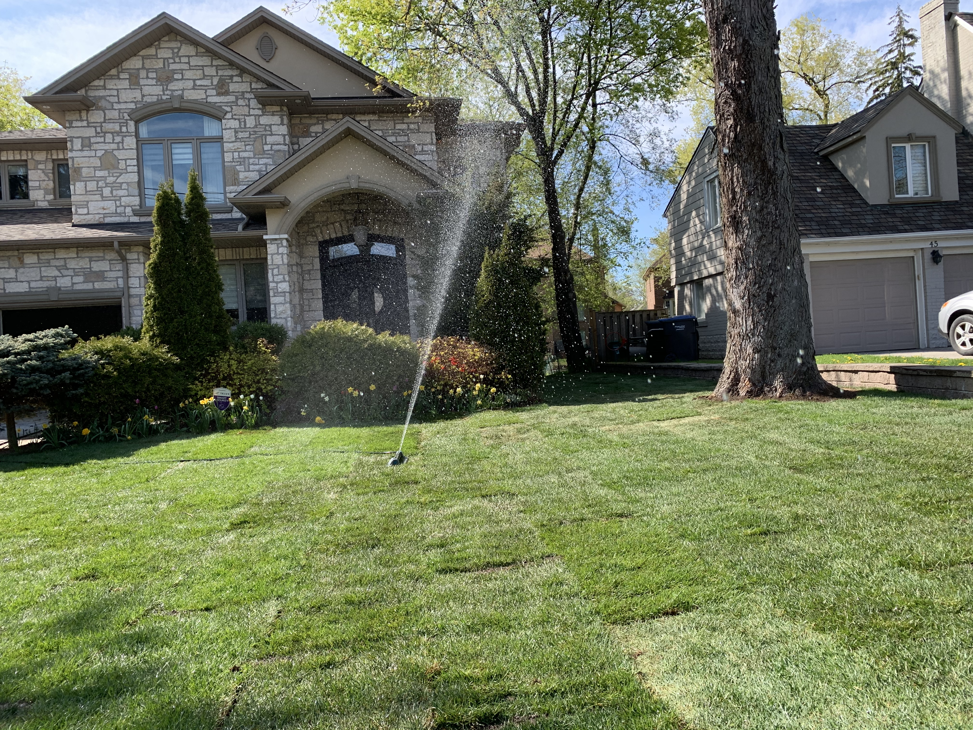 house with brand new sod laid by erindale landscaping